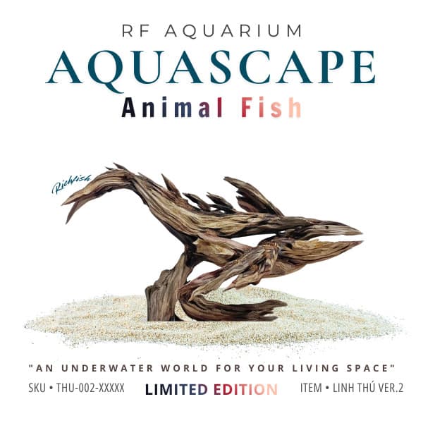 RF Aquarium Limited | Layout Cá Voi Nghệ Thuật Điêu Khắc Gỗ Lũa Đẳng Cấp Cho Bể Thuỷ Sinh