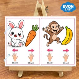 Thẻ Flash EVON BABY dạy bé tập nói - Bé Tập Nhận Biết PHƯƠNG HƯỚNG 3