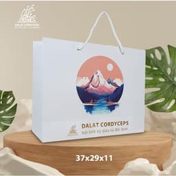 Túi giấy quà tặng cao cấp - Dalat Cordyceps 3
