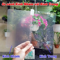 [Nhám Chống Vân Tay] Kính CL iPad 10.2" Gen 7/8/9 2021 Cường Lực Matte Mờ Chống Chói 4