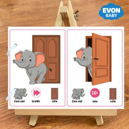 Thẻ Flash EVON BABY dạy bé tập nói - Bé Tập Nhận Biết PHƯƠNG HƯỚNG 5