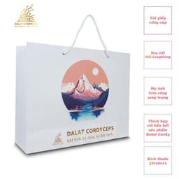 Túi giấy quà tặng cao cấp - Dalat Cordyceps 1