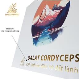 Túi giấy quà tặng cao cấp - Dalat Cordyceps 2