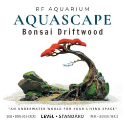 Layout Thuỷ Sinh Bonsai Ver.3 Tán Đỏ Nổi Bật | Hợp Với Người Mệnh Hoả Muốn Chơi Thuỷ Sinh | RF Aquarium 1