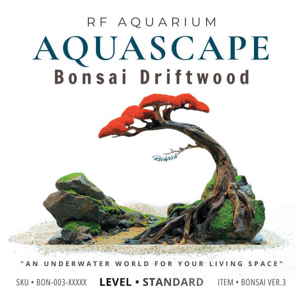 Layout Thuỷ Sinh Bonsai Ver.3 Tán Đỏ Nổi Bật | Hợp Với Người Mệnh Hoả Muốn Chơi Thuỷ Sinh | RF Aquarium