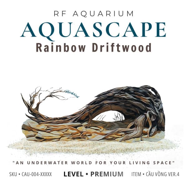Layout Thuỷ Sinh Cầu Vồng Ver.4 l Layout Tiểu Cảnh Trang Trí Bể Cá Thủy Sinh Đa Dạng | RF Aquarium