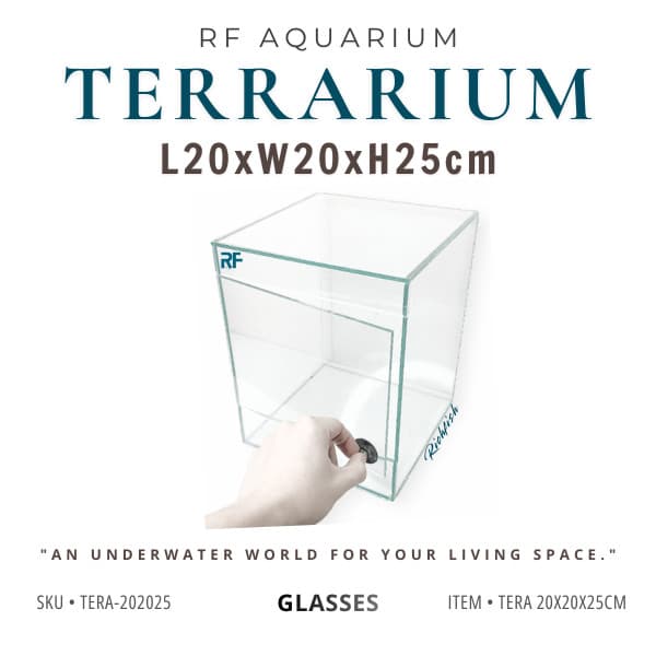 (Update Bản Sillicon Đen) Bể Terrarium Kích Thước 20x20x25cm