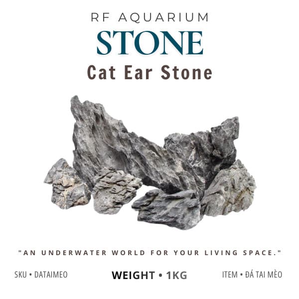 1kg Đá Tai Mèo Dùng Trang Trí Bể Cá, Setup Layout, Tiểu Cảnh Bể Thủy Sinh Nhiều Kích Thước