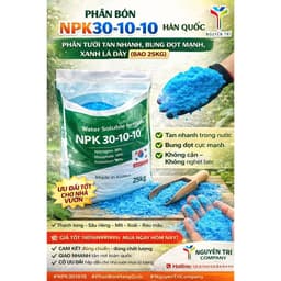 Phân Bón NPK 30-10-10 Hàn Quốc – Phân Tưới Tan Nhanh, Bung Đọt Mạnh, Xanh Lá Dày (Bao 25KG) 4