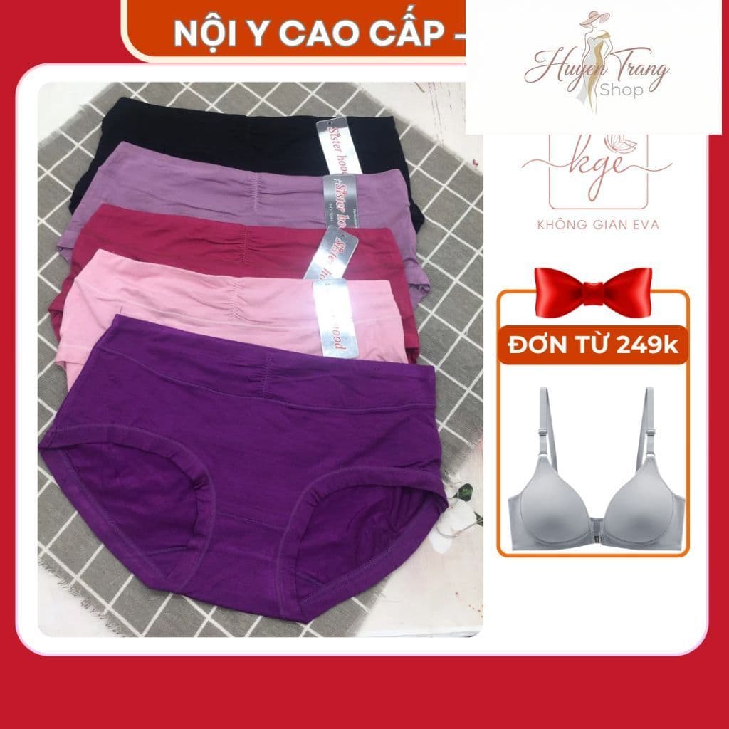 Quần Lót Nữ, Quần Chip Nữ Cotton Co Giãn Thoáng Khí Bigsize Dành Cho Người Có Vòng Mông 93-98cm 3044