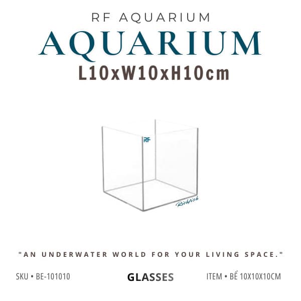 Bể Cá Nhỏ Kích Thước 10x10x10cm Nuôi Cá Betta, Trồng Cây Bán Cạn, Sen Đá | RF Aquarium