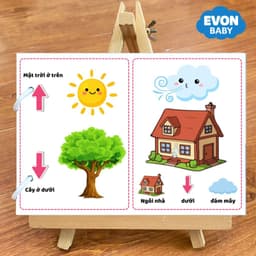 Thẻ Flash EVON BABY dạy bé tập nói - Bé Tập Nhận Biết PHƯƠNG HƯỚNG 2