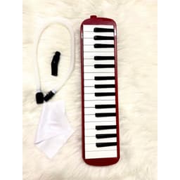 Đàn kèn 32 phím melodica , đàn kèn học sinh các màu xanh, đỏ , đen hồng dành cho bé. 3