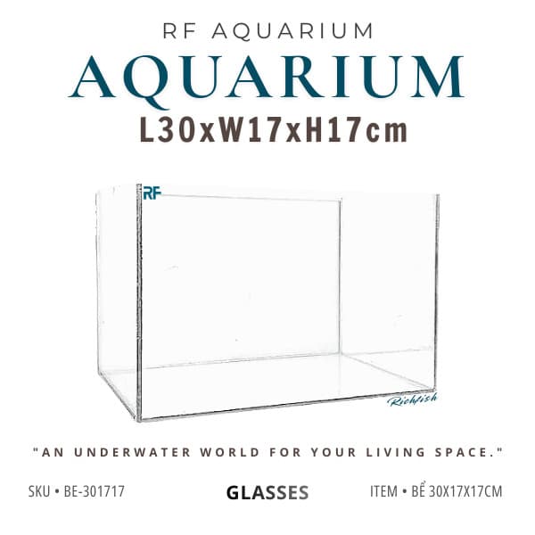 Bể Kính Thuỷ Sinh Mini Kích Thước 30x17x17cm Trang Trí Bàn Làm Việc | RF Aquarium