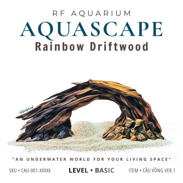 Layout Thuỷ Sinh Cầu Vồng Ver.1 l Layout Trang Trí Bể Thủy Sinh Đa Dạng Kích Thước | RF Aquarium