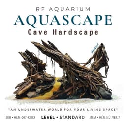 Layout Thuỷ Sinh Hẻm Núi Ver.7 | Nghệ Thuật Tái Tạo Lại Cảnh Quan Từ Gỗ Đá Tự Nhiên | RF Aquarium 1