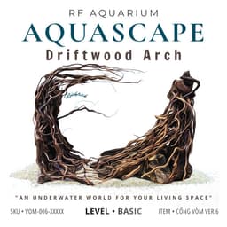 RF Aquarium | Layout Thuỷ Sinh Cổng Vòm Ver.6 l Layout Trang Trí Bể Thủy Sinh Đa Dạng Kích Thước 1
