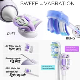Set 2 đầu thay thế cho đầu bàn chải điện Wisezen TB01 REISONIC H610 Pro Minh House làm sạch răng 9