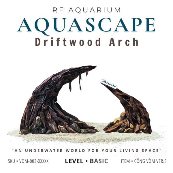 RF Aquarium |Aquascape Cổng Vòm Ver 3 - Layout Thuỷ Sinh Dáng Vòm Trầm Lắng Chiều Sâu