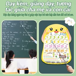 "Que chỉ bảng inox hình ngón tay, gậy chỉ bảng dạy chắc chắn, dài 68,5cm, chống trơn trượt bền bỉ." 4