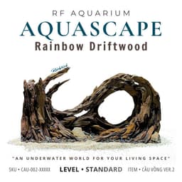 Layout Thuỷ Sinh Cầu Vồng Ver.2 l Layout Bể Cá Thủy Sinh Đa Dạng Kích Thước Từ 20-40cm | RF Aquarium 1