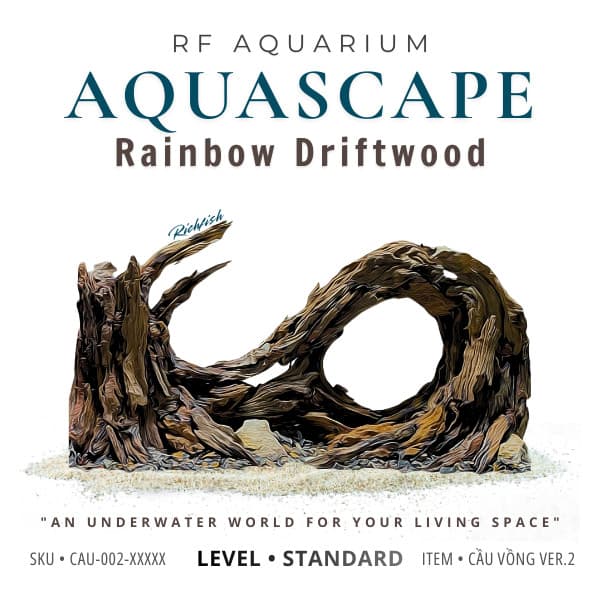 Layout Thuỷ Sinh Cầu Vồng Ver.2 l Layout Bể Cá Thủy Sinh Đa Dạng Kích Thước Từ 20-40cm | RF Aquarium