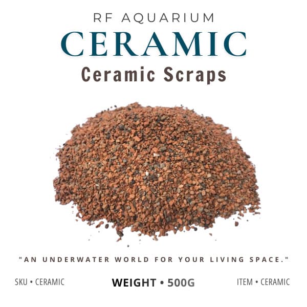 500g Gốm Ceramic dùng trải nền cho bể thuỷ sinh ươm Bucep, Rêu, Ráy (Loại hạt nhỏ)