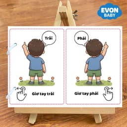 Thẻ Flash EVON BABY dạy bé tập nói - Bé Tập Nhận Biết PHƯƠNG HƯỚNG 7