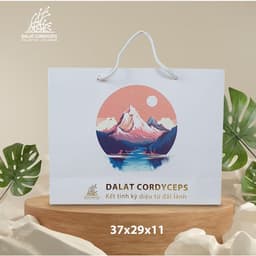 Túi giấy quà tặng cao cấp - Dalat Cordyceps 6