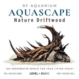 Layout Thuỷ Sinh Nature Ver.3 l Layout Dễ Chăm Trang Trí Cho Bể Thủy Sinh Đa Dạng Kích Thước | RF Aquarium 1