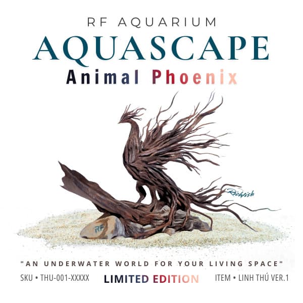Limited | Layout Thuỷ Sinh Phượng Hoàng | Nghệ Thuật Điêu Khắc Gỗ Lũa Điểm Nhấn Đẳng Cấp | RF Aquarium