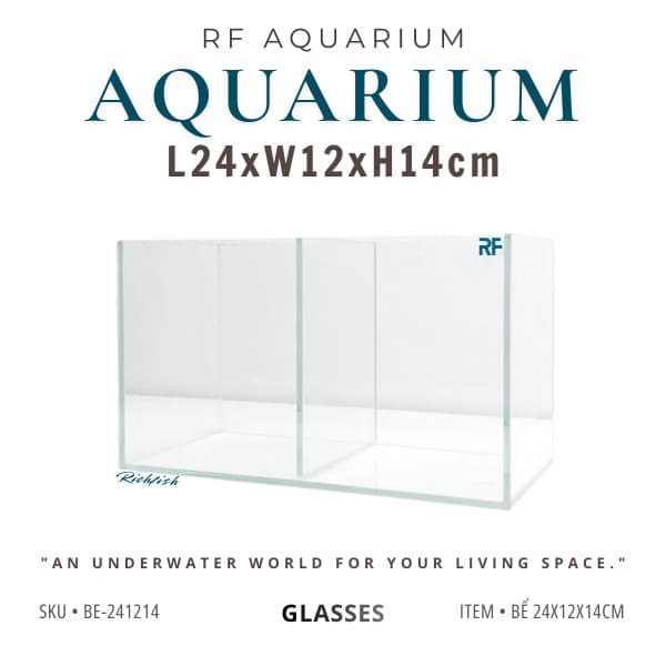 Bể Cá Mini Nuôi Cá Betta 24x12x14cm 2 Ngăn Cố Định | RF Aquarium