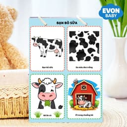 Thẻ Flash EVON BABY dạy bé tập nói - Bé Tập Miêu Tả Theo Tranh 8