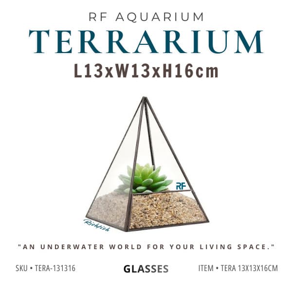 (Update Bản Sillicon Đen) Bể Kính Trồng Cây, Bán Cạn Terrarium Hình Tam Giác Kích Thước 13x13x16cm