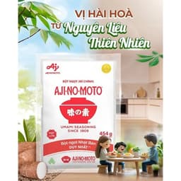 Chính Hãng FulVAT Bột ngọt hạt lớn Ajinomoto gói 454g 3