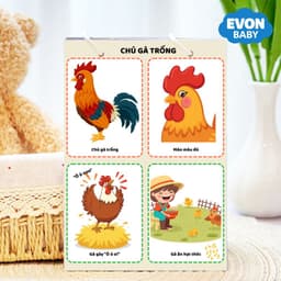 Thẻ Flash EVON BABY dạy bé tập nói - Bé Tập Miêu Tả Theo Tranh 5