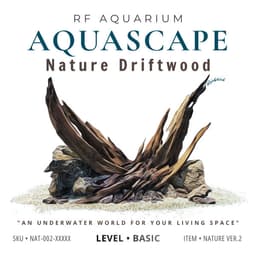 Layout Thuỷ Sinh Nature Ver.2 l Layout Dễ Chăm Trang Trí Cho Bể Thủy Sinh Đa Dạng Kích Thước | RF Aquarium 1