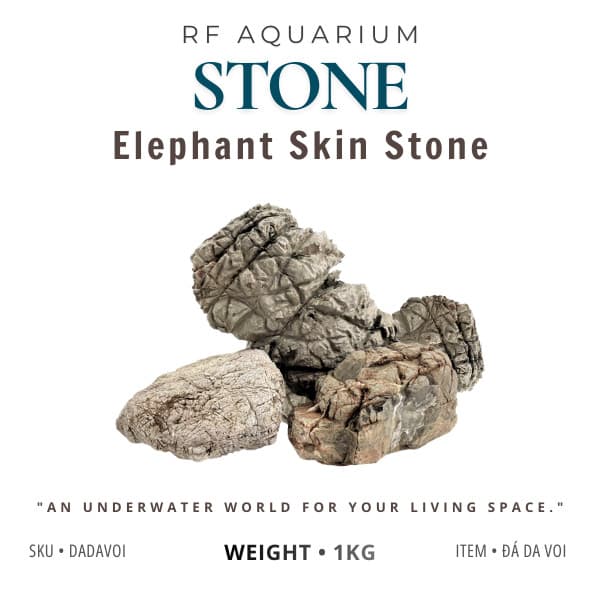 1kg Đá Da Voi Làm Layout Hồ Thủy Sinh Nhiều Kích Thước