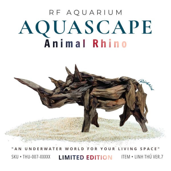 Limited | Layout Thuỷ Sinh Tê Giác Nghệ Thuật Điêu Khắc Động Vật Từ Gỗ Lũa | RF Aquarium