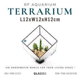 (Update Bản Sillicon Đen) Chậu Trồng Cây Để Bàn Bằng Kính Kích Thước 12x12x12cm | Rf Aquarium 1