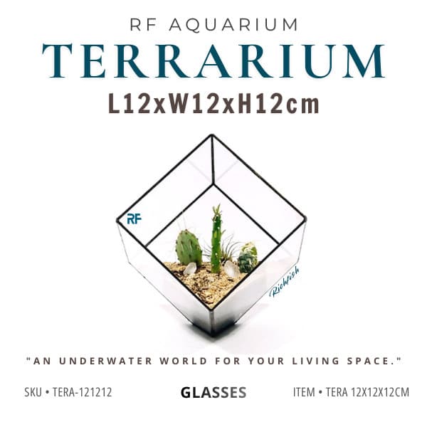 (Update Bản Sillicon Đen) Chậu Trồng Cây Để Bàn Bằng Kính Kích Thước 12x12x12cm | Rf Aquarium