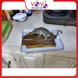 [05 MIẾNG] Miếng Keo Dính Chuột Siêu Dính Minh Phương – Bẫy Chuột Hiệu Quả, An Toàn, Tiện Lợi yoyostore 3