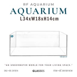 Bể Kính Hồ Cá Shallow Tank Kích Thước 34x18x14cm | RF Aquarium 1