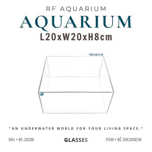 Bể Bán Cạn, Terrarium Nhỏ 20x20x8cm | RF Aquarium