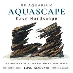 Layout Thuỷ Sinh Hẻm Núi Ver.1 | Nghệ Thuật Tái Tạo Lại Cảnh Quan Điểm Nhấn Cho Bể Thuỷ Sinh | RF Aquarium 1