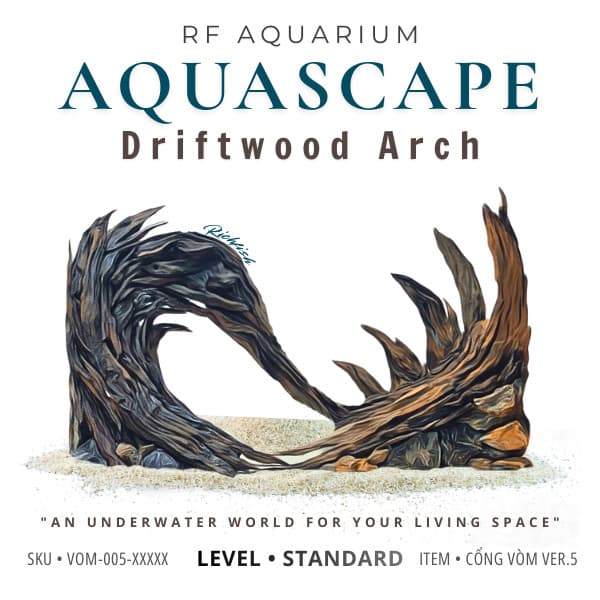 RF Aquarium | Layout Thuỷ Sinh Cổng Vòm Ver 5 Standard - Dáng Lũa Gai Góc Phá Cách Nhiều Kích Thước