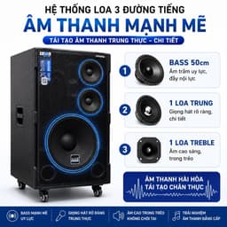 Loa Kéo AAR LX50-80 Công Suất 300W-500W Kèm 2 Micro Không Dây, Bass 50cm, Bluetooth, Pin Lithium 4-8 Giờ, Loa Karaoke 3