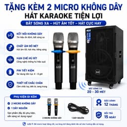 Loa Kéo AAR LX50-80 Công Suất 300W-500W Kèm 2 Micro Không Dây, Bass 50cm, Bluetooth, Pin Lithium 4-8 Giờ, Loa Karaoke 6