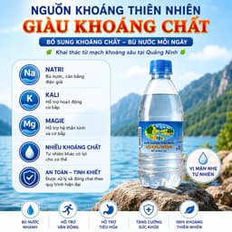 Nước Khoáng Mặn Quang Hanh 500ml Chính Hãng - Giàu Khoáng Chất Tự Nhiên, Bổ Sung Điện Giải, Thùng 20 Chai 3