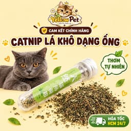 Cỏ Mèo Bạc Hà Catnip Dạng Ống 45ml Cho Mèo | Yellow Pet 1